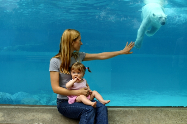 Zoos and Aquariums