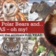 Utah's Hogle Zoo - Direct Mail Acquisition